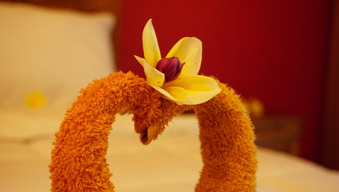 Nyuh Gading Accommodation Ubud Eksteriør bilde
